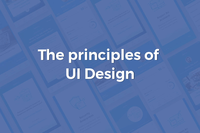 The principles of UI Design